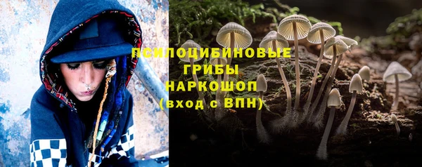 apvp Абаза