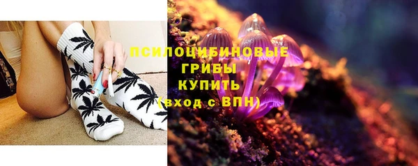 хмурый Абинск