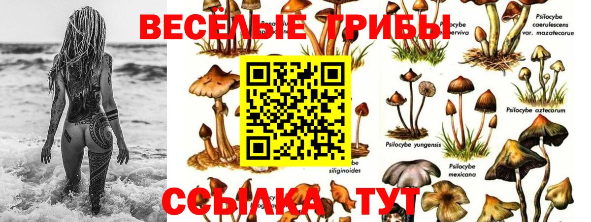 Галлюциногенные грибы мухоморы Смоленск