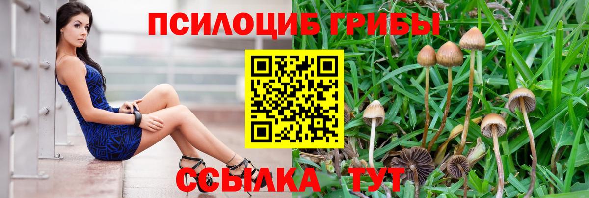 Псилоцибиновые грибы Psilocybe  Вход с VPN  Смоленск 